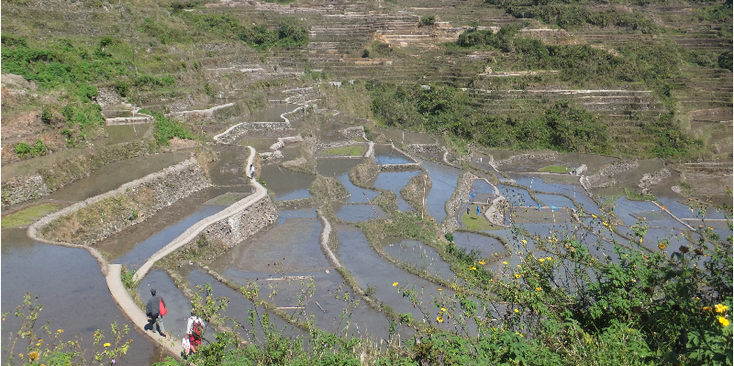 Batad-Bontoc-Banaue-Maligcong-rijstterras-rijstveld-Filipijnen