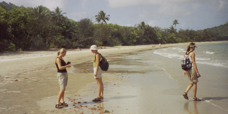 Cape-Tribulation-Australia-Nationaal-park-Daintree-strand