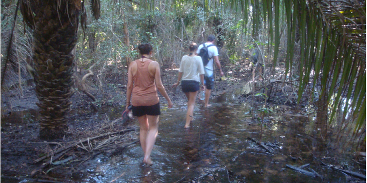 Pantanal-moeras-lopen-wandelen-Brazilië-Nationaal-Park-Jungle