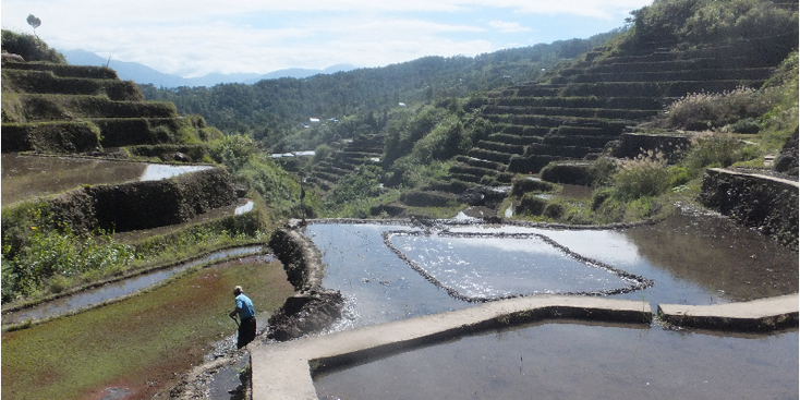 Batad-Bontoc-Banaue-Maligcong-rijstterras-rijstveld-Filipijnen