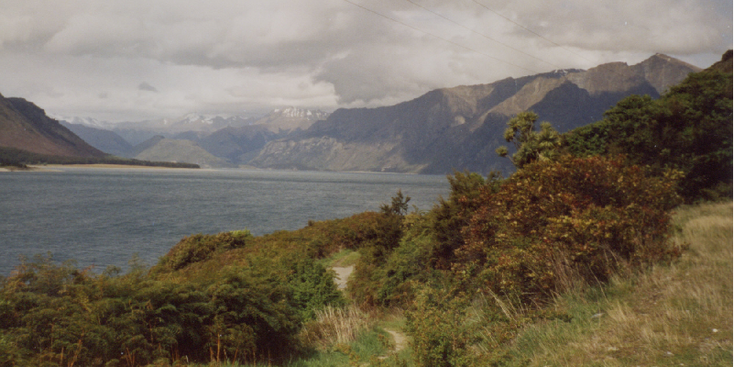 Natuur-Nieuw-Zeeland