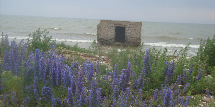 Sorve-Saaremaa-eiland-bunker-strand-schiereiland-WW2-kust-Estland