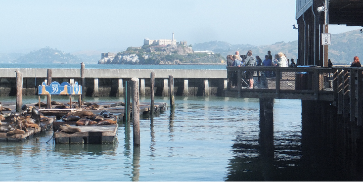San-Francisco-Pier-39-zeehonden-Alcatraz-eiland-Verenigde-Staten