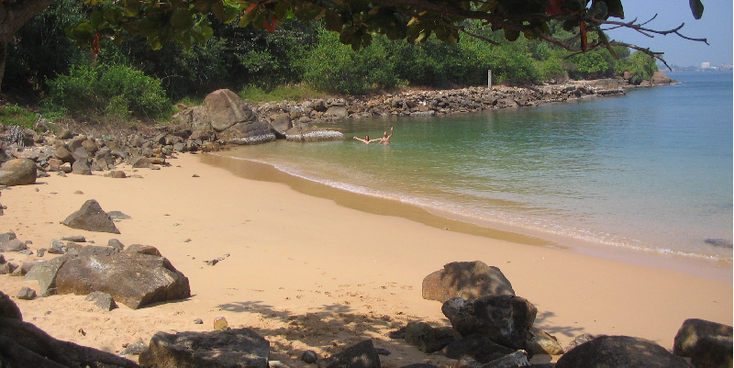 Unawatuna-strand-palmboom-Sri-Lanka-zee