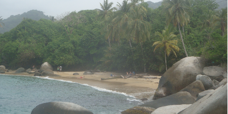 Tayrona-Nationaal-Park-Coast-Colombia-jungle-rivier