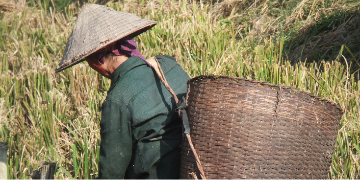 Mai-Chau-rieten-mand-rijstveld-Vietnam