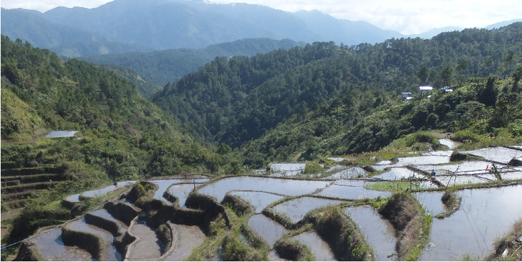 Maligcong-Bontoc-Banaue-rijstvelden-rijstterras-uitzicht-terras-Filipijnen