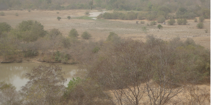 Mole-nationaal-park-Ghana-safari-hotel-uitzicht