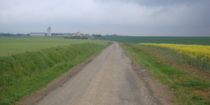Longyon-olie-plantages-landschap-platteland-Frankrijk