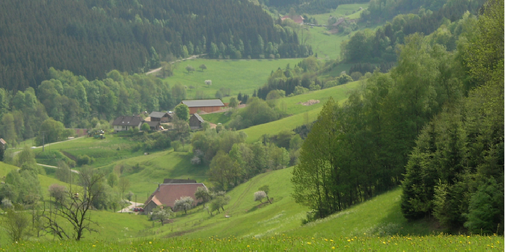 Hunedora-Transsylvanië-Corvin-weilanden-Roemenië