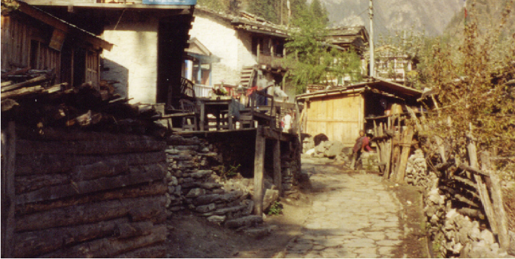 Annapurna-trekking-bergen-Nepal-Himalaya