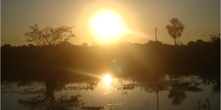 Pantanal-moeras-Brazilië-Nationaal-Park-Jungle-ondergaande-zon