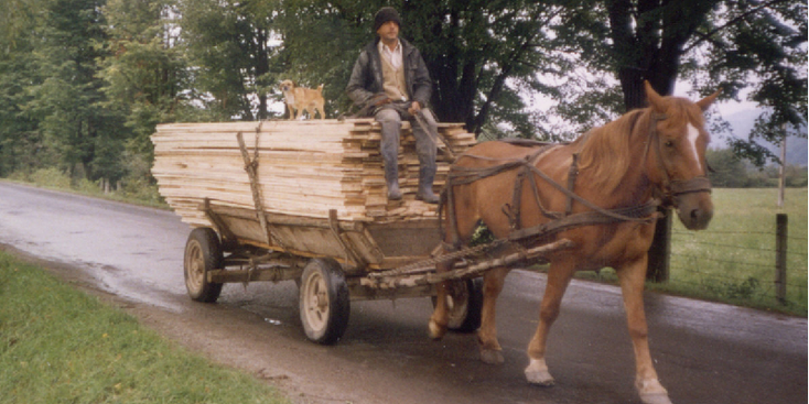 Boekovina-paard-en-wagen-hout-hond-Roemenië