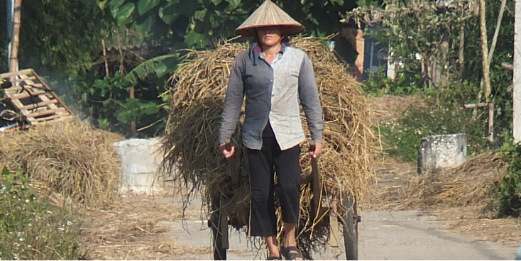 Mai-Chau-Pom-Coong-riet-Vietnam 