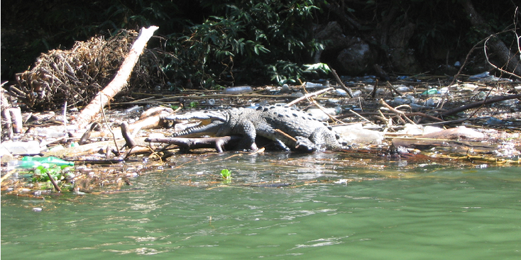 Canon-Del-Sumerido-kloof-Mexico-krokodil