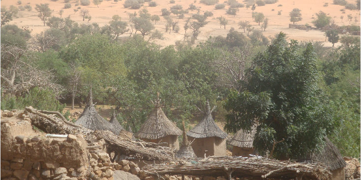 Dogon-rieten-daken-Mali