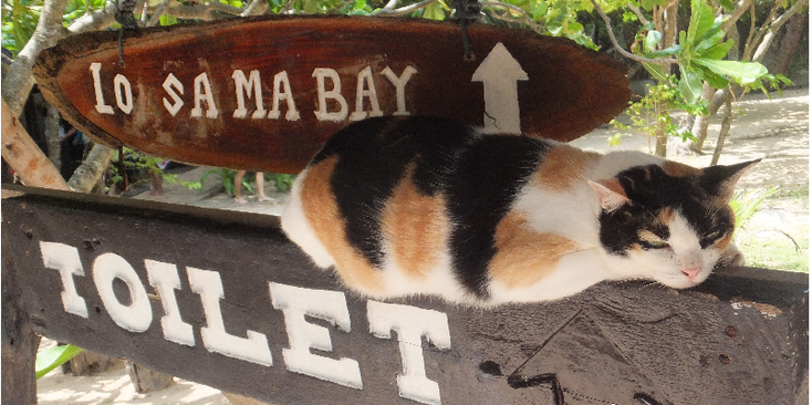 Lo-Sa-Ma-Bay-Railay-Ko-Phi-Phi-Andaman-poes-bord-Thailand