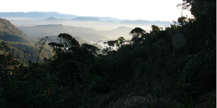 Adams-Peak-nachtwandeling-pelgrims-uitzicht-bergen-Sri-Lanka