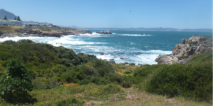 Hermanus-Coast-Ocean-Walkway-Hike-Path-pad-wandelen-Zuid-Afrika-kust-kleinbaai
