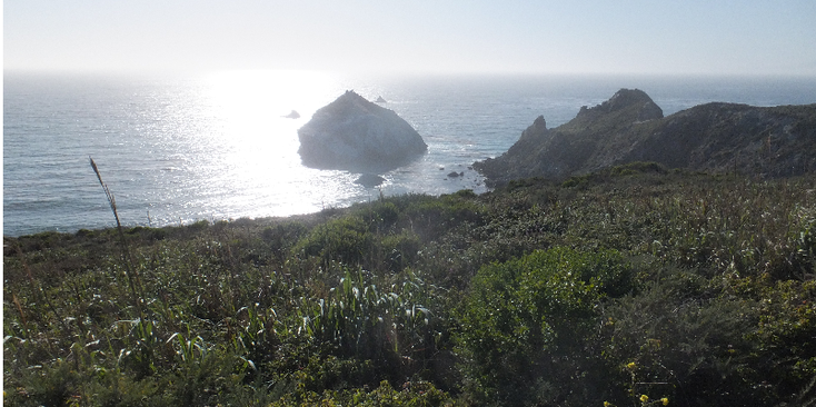 Big-Sur-Highway-1-one-kust-ruig-weg-road-Californië-Verenigde-Staten