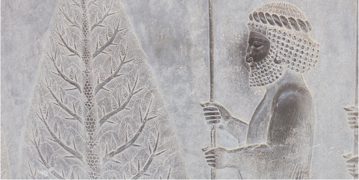Persepolis-Darius-I-Iran-ruïnes-columns-archeologie-Perzië-Shiraz