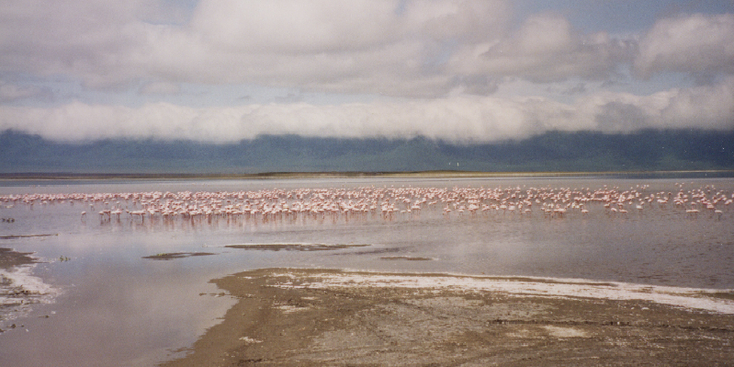 Tarangire-nationaal-park-natuurpark-Manyara-meer-Tanzania
