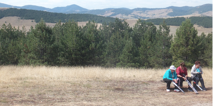 Zlatibor-nationaal-park-berg-uitkijk-Servië