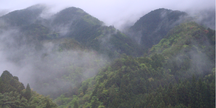 Koya-San-bergen-mist-Japan