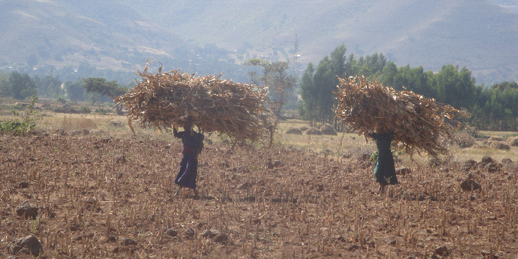 Tis-Isat-hooi-lokale-vrouw-platteland-Ethiopië