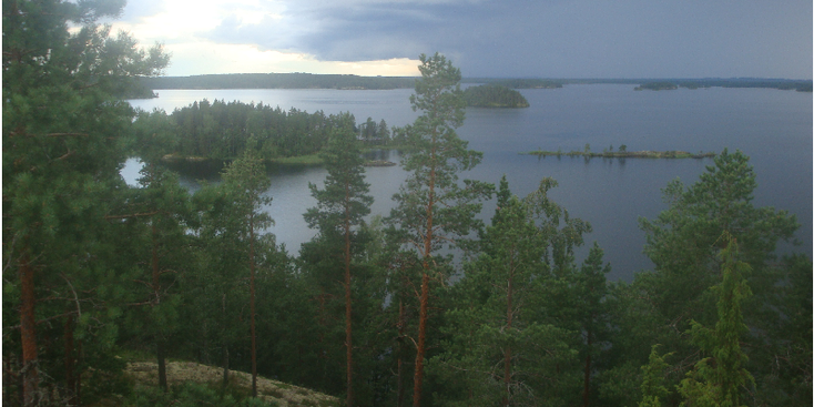 Linnansaari-nationaal-park-meren-bos-uitzicht-Finland