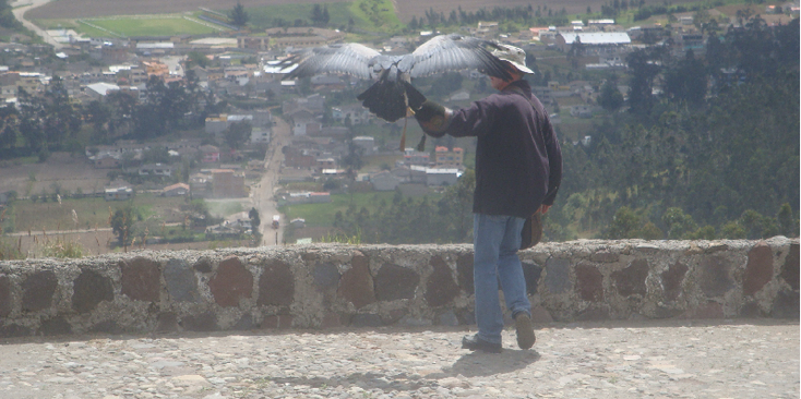 Parque-Condor-Amerikaanse-adelaar-park-dierentuin-opvang-vogels-Otavalo-Ecuador