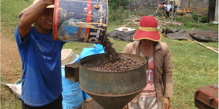 Bolaven-plateau-koffie-Laos