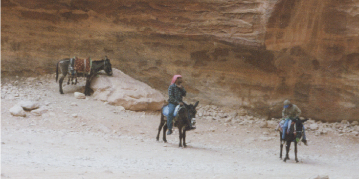 Petra-ezel-Jordanië