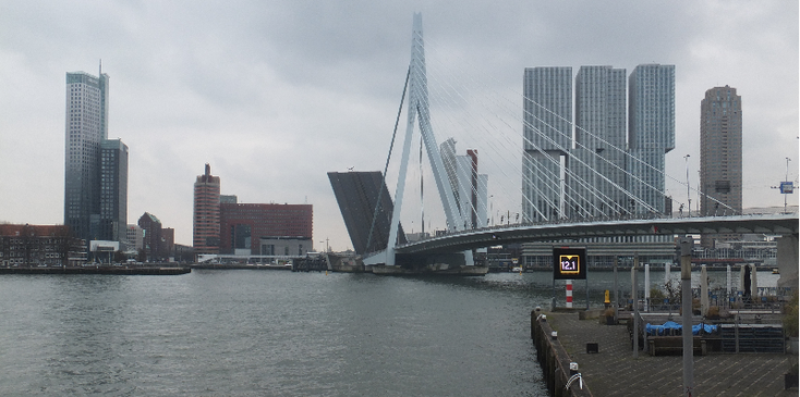 Erasmusbrug-Leuvehaven-Maas-skyline-Rotterdam-Nederland