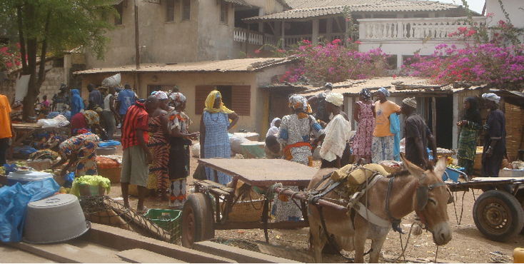 Ziguinchor-haven-ezel-kar-lokale-bevolking-straatleven-Senegal