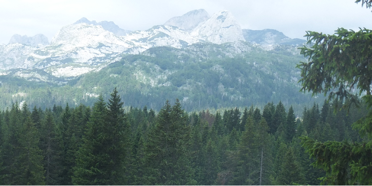 Durmitor-nationaal-park-Niksic-Montenegro-bergen-naaldbos
