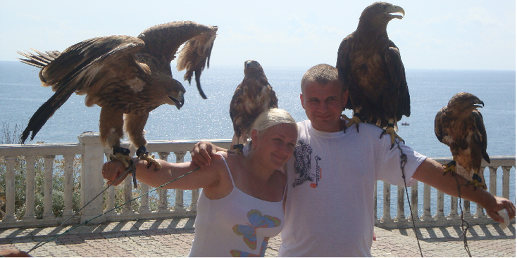 Roofvogels-Oekraïne-Krim-Yalta-Jalta-Poseren