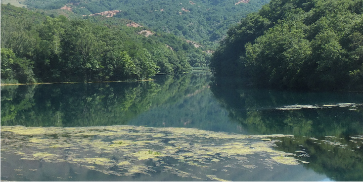 Syri-I-Kalter-blauwe-oog-blue-eye-helder-water-bron-Albanië