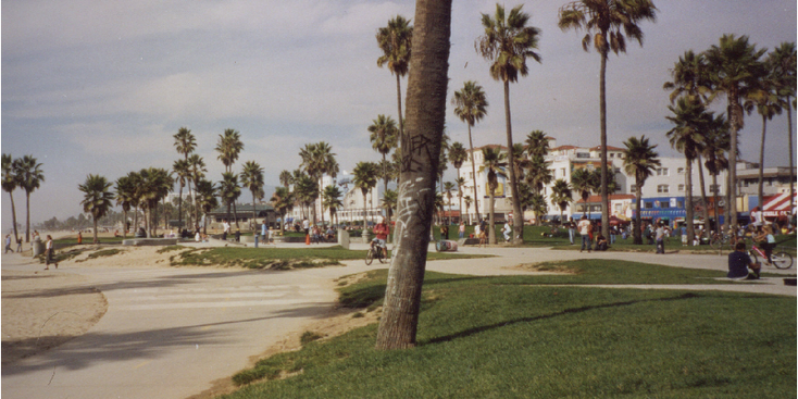 Venice-Beach-strand-boulevard-palmboom-Los-Angeles-Verenigde-Staten