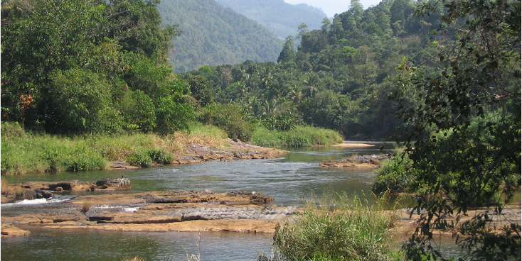 Kitulgala-rivier-jungle-Sri-Lanka