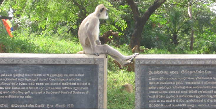 Anuradhapura-aap-monument-Sri-Lanka