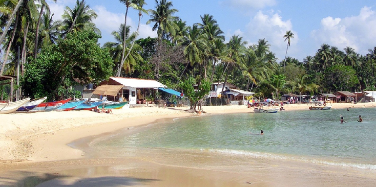Mirissa-Sri-Lanka-Palmtree-Beach-Sun-Sea
