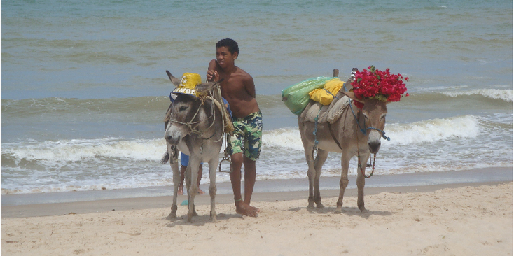 Canoa-Cabrada-duinen-strand-zand-ezel-Brazilië