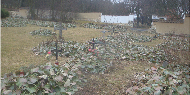 Lidice-martelaarsdorp-park-kool-WW2-nazi-terreur-Tsjechië