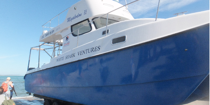 White-shark-Ventures-boot-kooi-haai-kijken-Zuid-Afrika-Hermanus