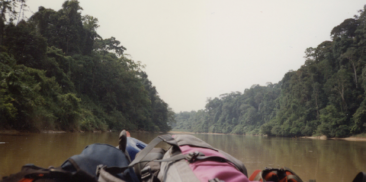 Jerentut-Taman-Negara-rivier-jungle-backpack-bos-Maleisië-natuurpark