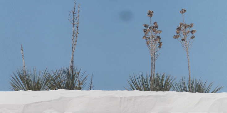 White-Sands-nationaal-monument-zand-Verenigde-Staten