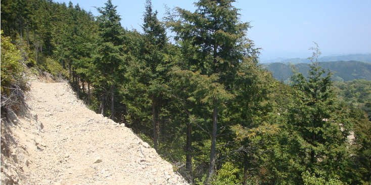 Hattoji-Mount-berg-wandelpad-geitenpad-uitzicht-Japan