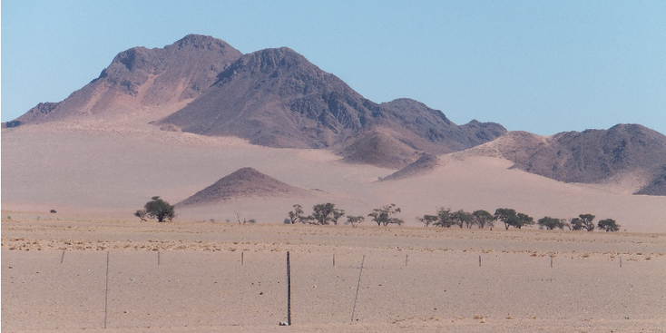 Sossus-vlei-vallei-boom-dood-woestijn-zand-nationaal-park-Namibië