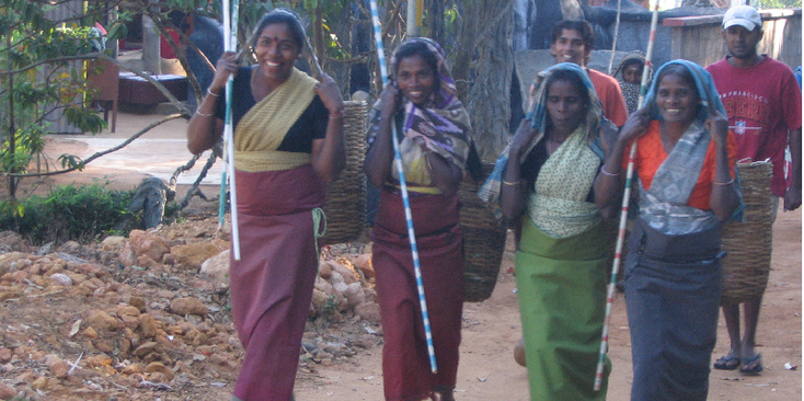 Dalhousie-theepluksters-Adams-Peak-Sri-Lanka